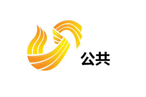 山东公共